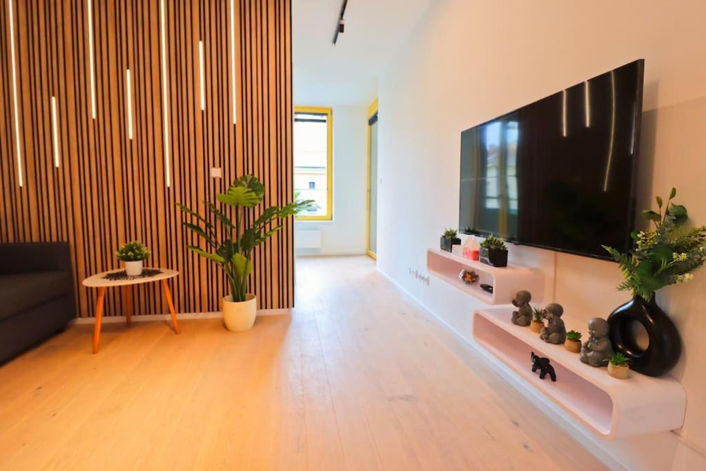 Apartamento The Peony In Smichov, 5